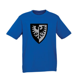Brickly - LEGO - Classic Castle Faction Shields - Blue T-Shirt - Black Falcons Gen 3 version